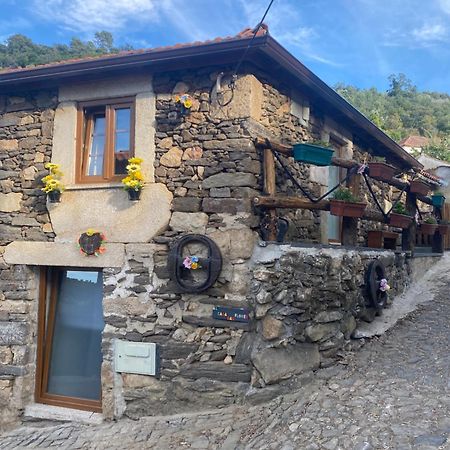 Casa Das Flores Lamego Exteriér fotografie