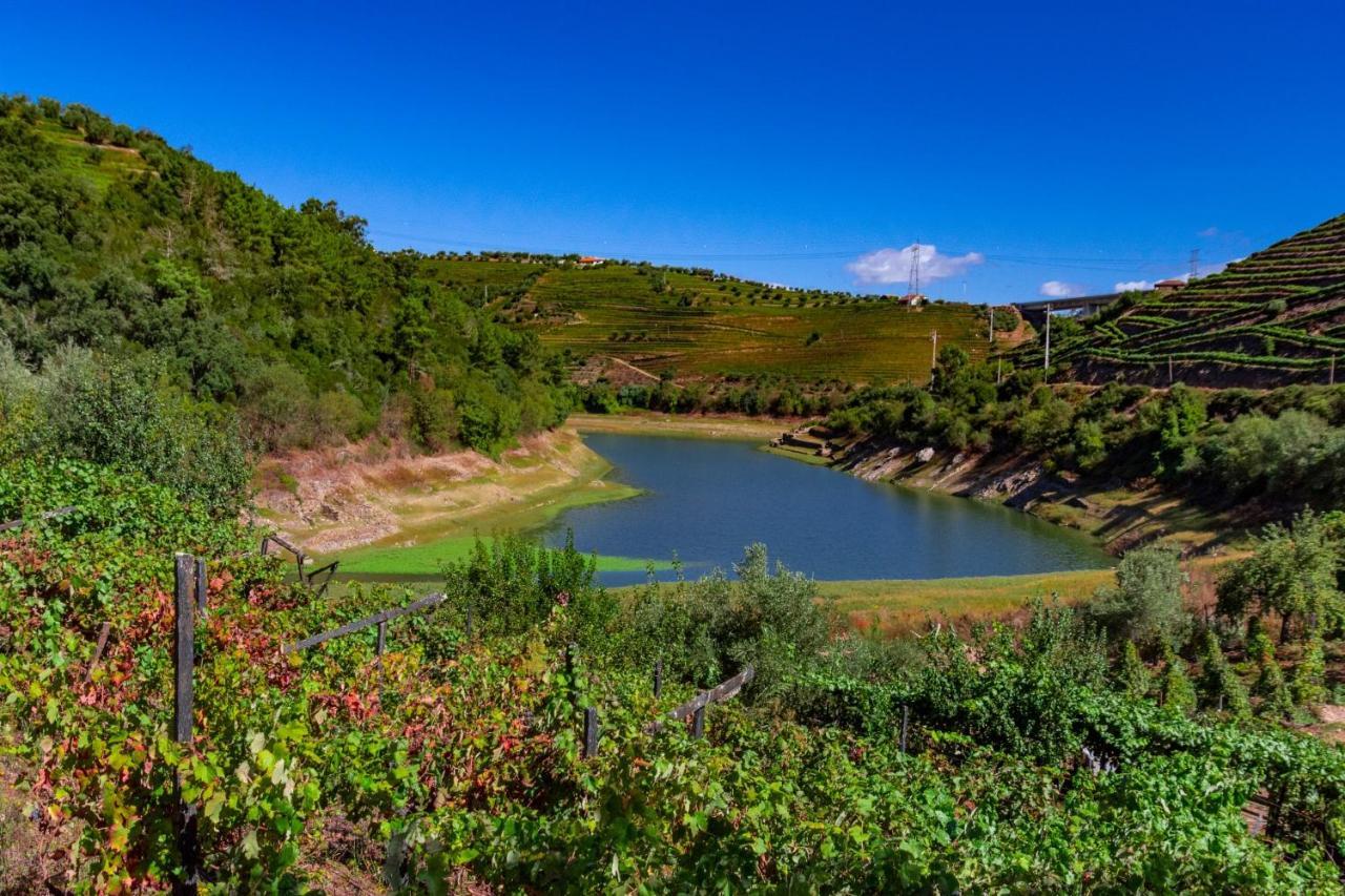 Casa Das Flores Lamego Exteriér fotografie