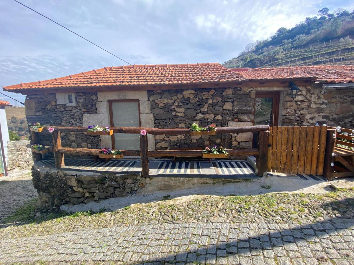 Casa Das Flores Lamego Exteriér fotografie