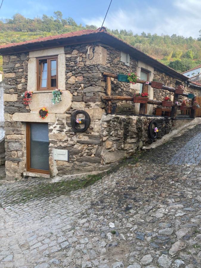 Casa Das Flores Lamego Exteriér fotografie