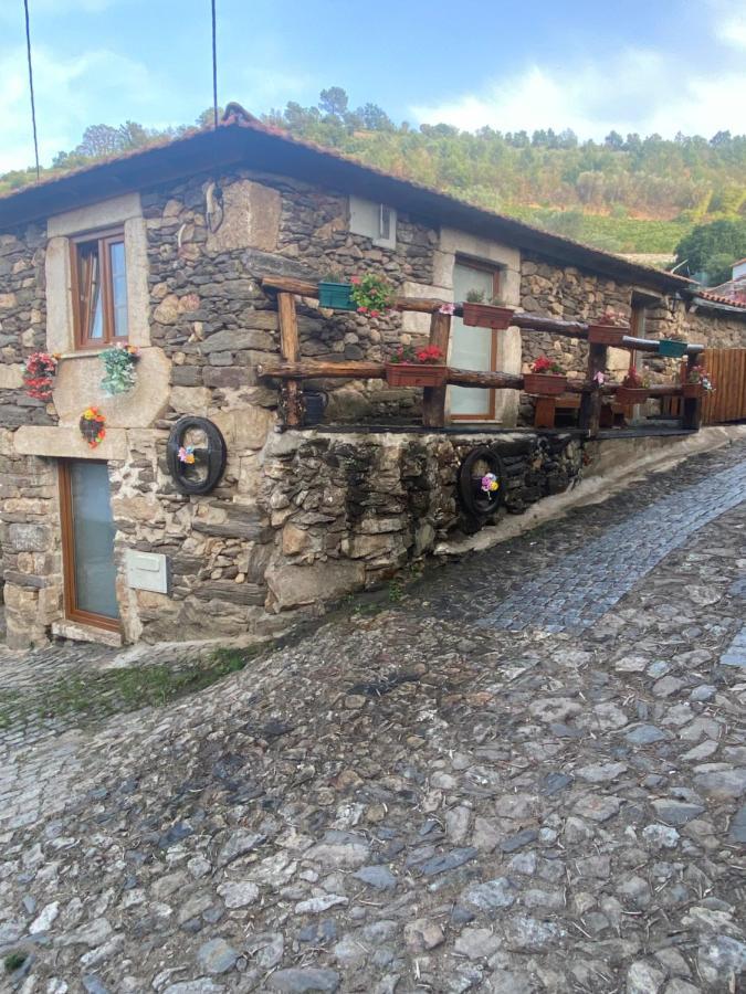 Casa Das Flores Lamego Exteriér fotografie